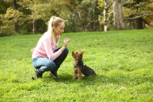 Mikaela and Akila Dog trainer careers: Mikaela the dog behavior counselor in NYC