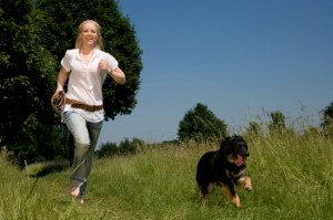 Running Out to the Training Field Dog Trainer School – running to the training field