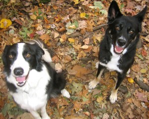 Flash and Eli