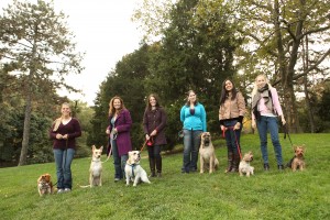 Awesome Dog Peeps