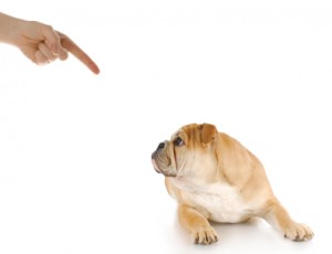 Conflict