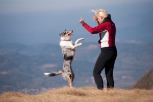 Jump!