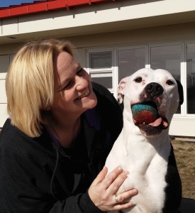 LuLu, one of many local shelter dogs who benefits from Amys time and training.