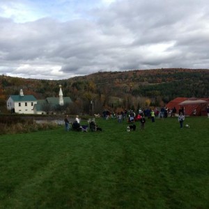 Beautiful view from Dog Mountain in Saint Johnsbury, VT Photo source: www.bringfido.com