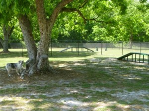 Dog Park at Freedom Park in Valdosta, GA Photo source: www.bringfido.com