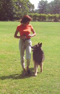 Pia Silvani demonstrates Heel with her Belgian Tervuren, Lance