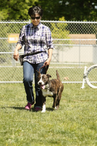 dog trainer career school