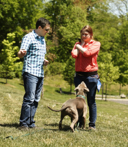 Chrislyn collaborating with David Muriello on a training plan for Gunner.