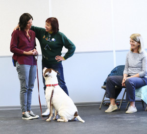 Even with "good dogs," sometimes we need consolation and support from our trainer!