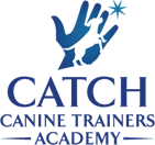 Catch Dog Training